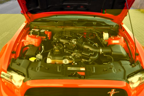 DSC_0553ab.jpg