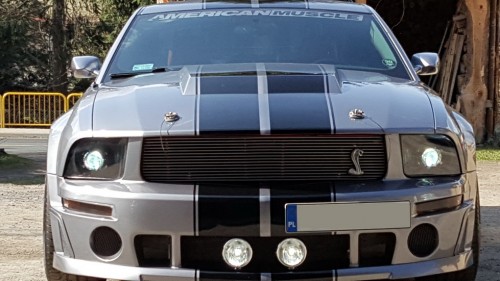 20180408_103042 — kopia.jpg