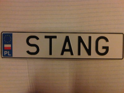 STANG.jpg