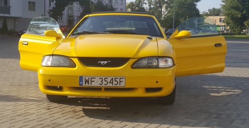 20180730_174259.jpg