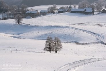 wodziłki.jpg