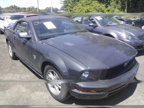 mustang01.jpg