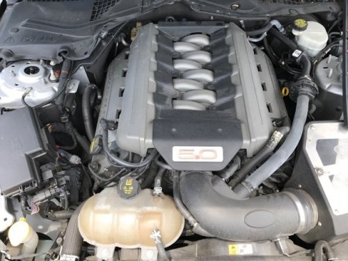 317305_vehicle20190708172503.jpg