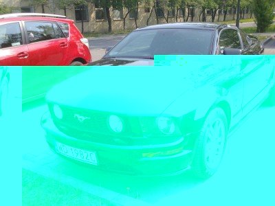 Mustang2.jpg