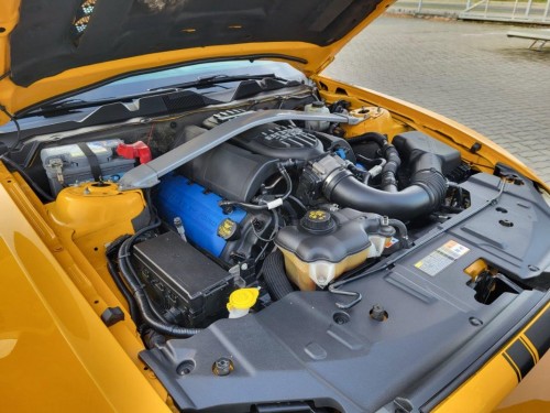 20221017_083946.jpg (178.97 KiB) Przejrzano 4831 razy 20221017_083946.jpg