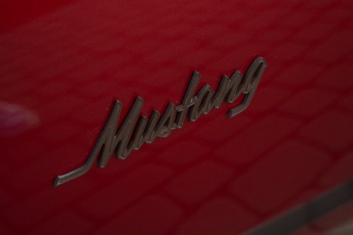 mustang_291.jpg