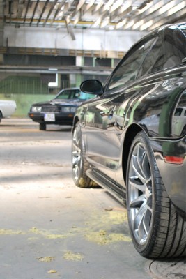 stang1.jpg