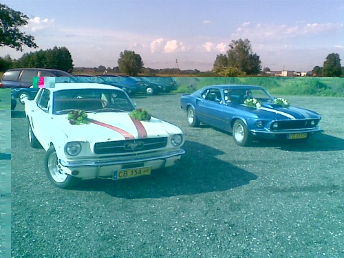Mały2.jpg