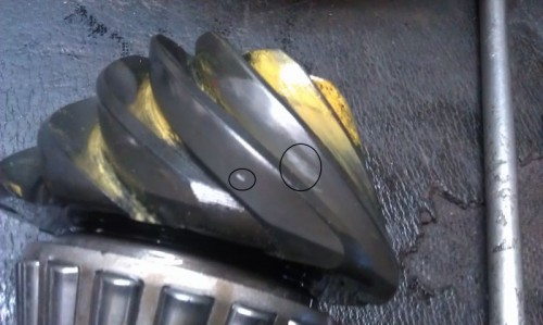 IMAG0583.jpg