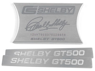 shelby.jpg