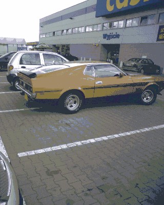 SP_A0065.jpg