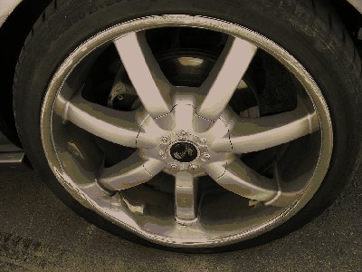 Shelby20cali_02.jpg