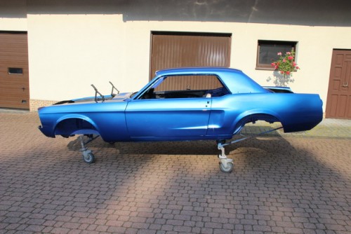 Mustang_2194_resize.JPG