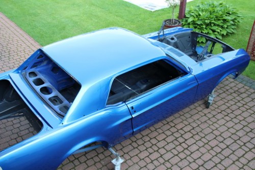 Mustang_2278_resize.JPG