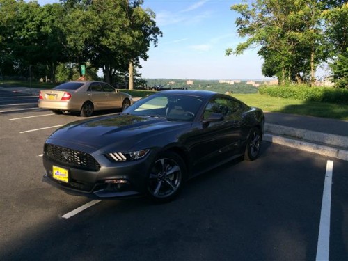 IMG_0277 (Small).JPG