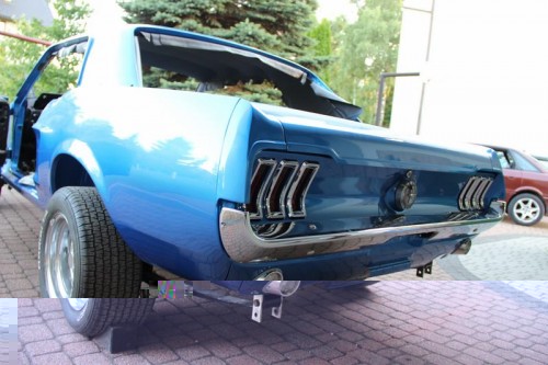Mustang_2465 (Kopiowanie).JPG