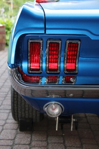 Mustang_2445 (Kopiowanie).JPG