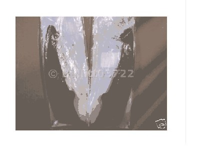 2341.JPG