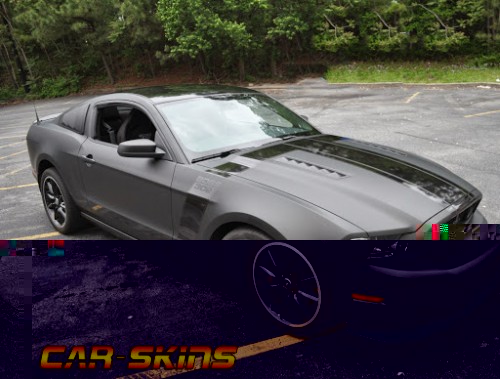 Mustang 2.jpg