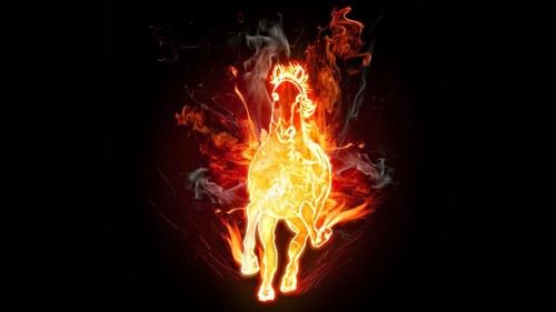 685891__background-fire-horse-black-images-towards-gallops-wallpapers-darkness_p.jpg