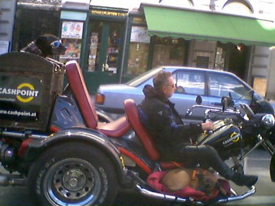 Pies na motorze.jpg