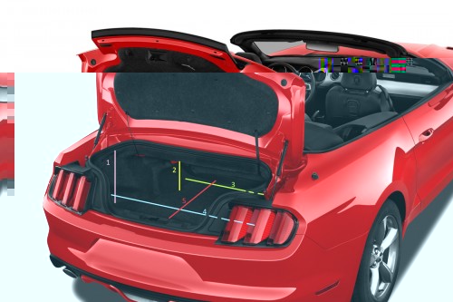 Mustang.jpg