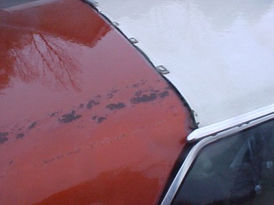 mvc-016f.JPG