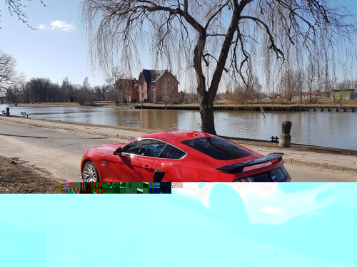 20180317_101925.2.jpg