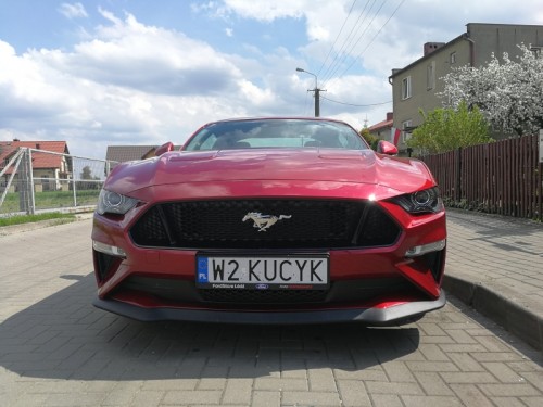 IMG_20180501_131746.jpg