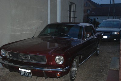 DSC_7963.jpg