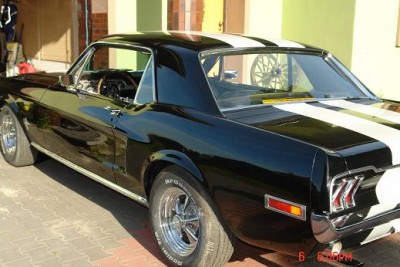 mustang 042.JPG