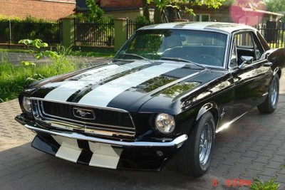 mustang 050.JPG