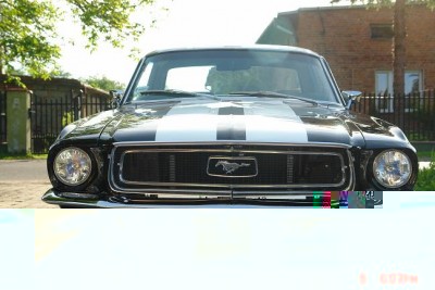 mustang 051.JPG