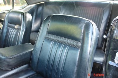 mustang 056.JPG
