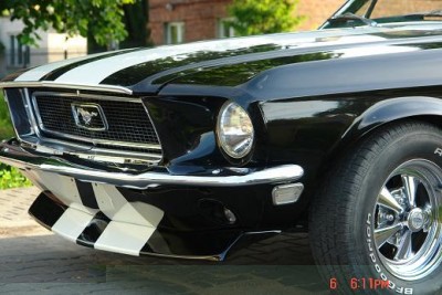 mustang 064.JPG