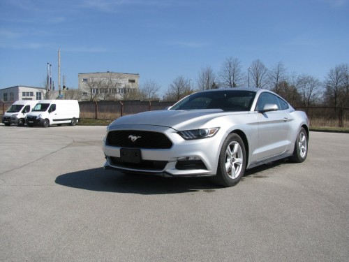 Mustang1 (39)-min.JPG