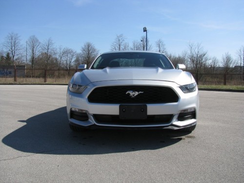 Mustang1 (40)-min.JPG