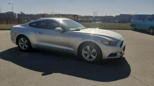 Mustang1 (7).jpg