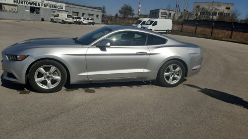 Mustang1 (17).jpg