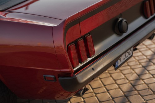 mustang_027.jpg