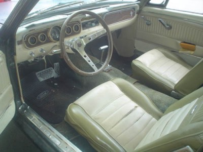 mustang4.JPG