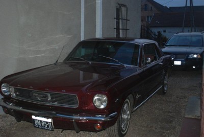 DSC_7963.jpg