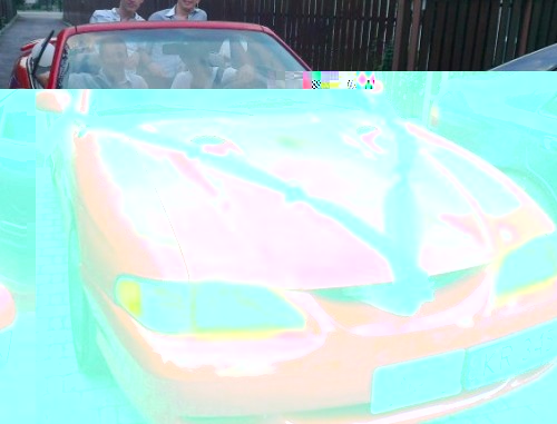 mustang wes.jpg