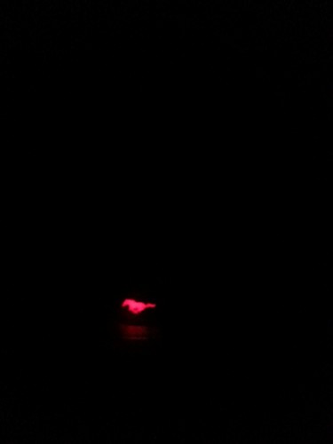 20130122_170755.jpg