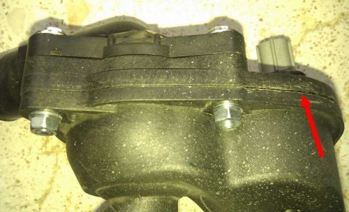 IMG_20130630_172010b.jpg