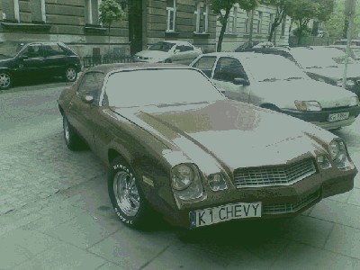 20090505(001).jpg