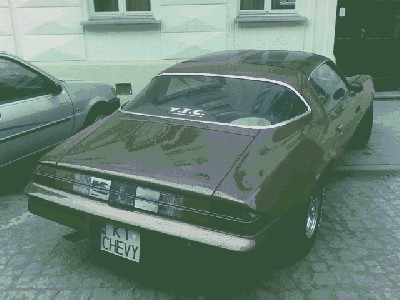 20090505(002).jpg