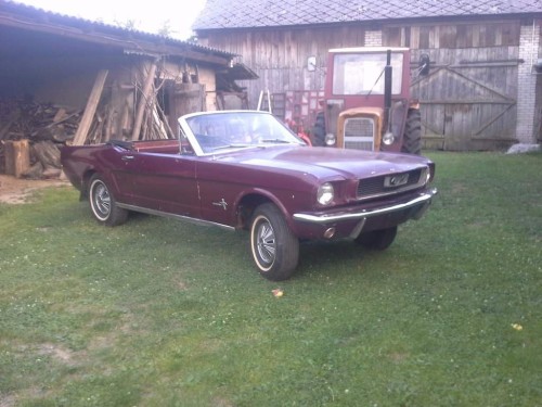mustangdzie007 (2).jpg