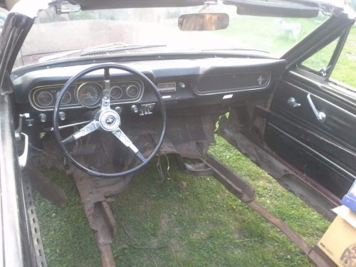 mustangdzie011 (1).jpg