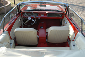 mustang 4.jpg